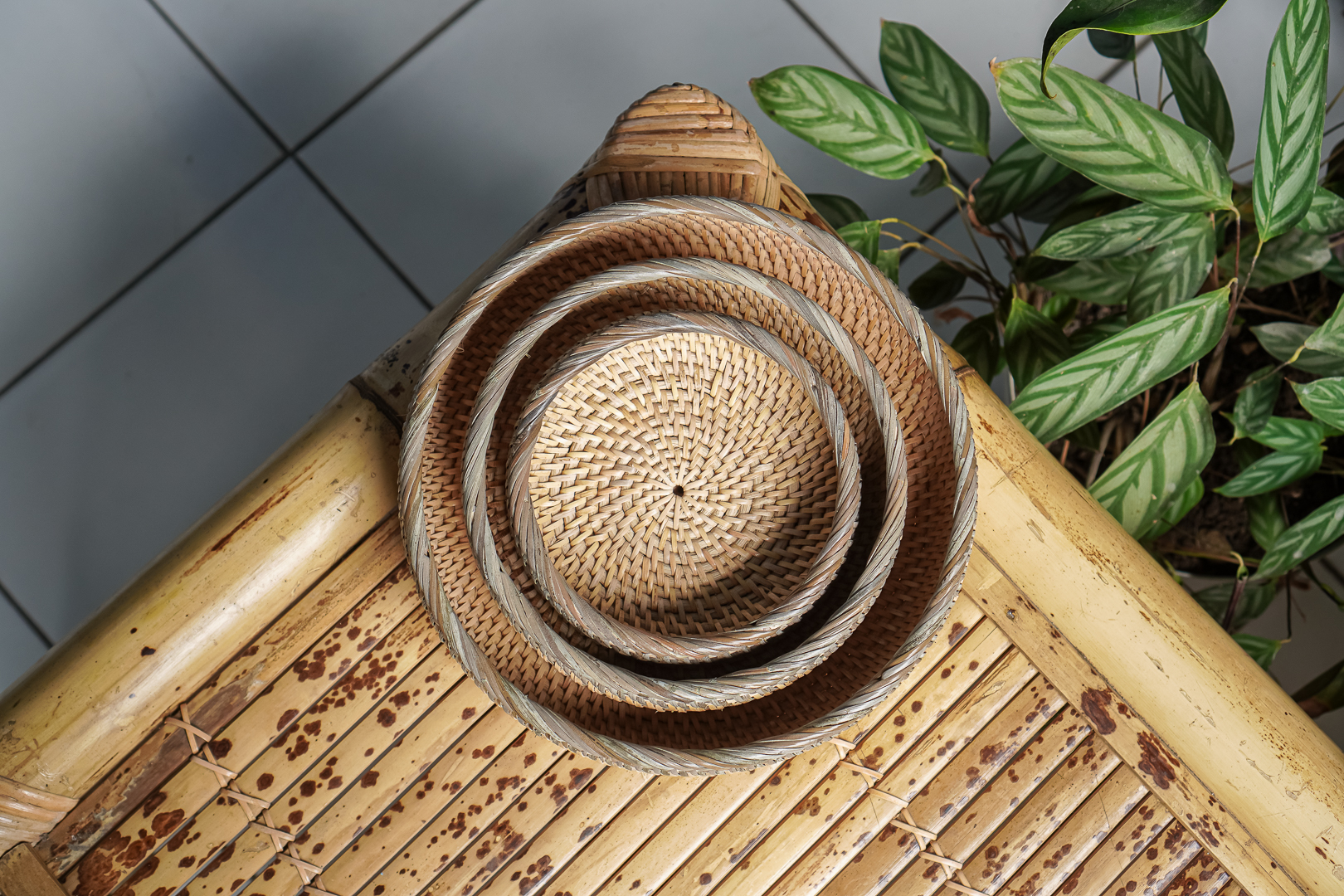 Rattan Container Set - Small